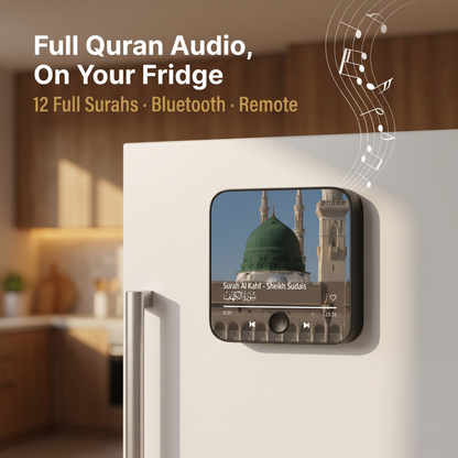 Noor Audio · Quran Panel